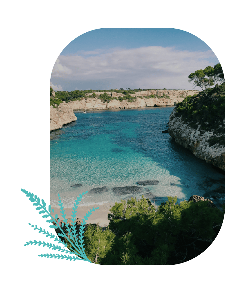 Welcome to Bruc Hotels